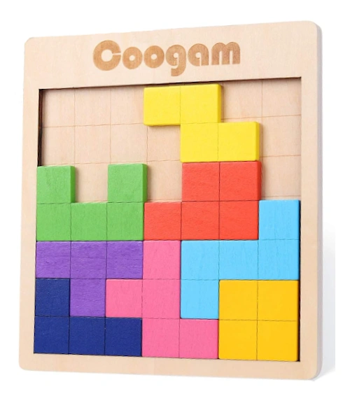 Coogam Wooden Puzzle Blocks